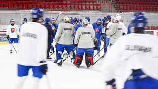 Cehlárik a Hlavaj nejdú na zápasy do Nemecka, problémy má aj Ďaloga. Slováci sa podľa trénera musia venovať kondícii