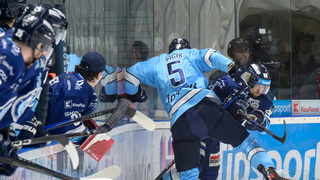 Rekord padol. Slovan - Nitra je historické aj nervózne finále. U corgoňov došlo k roztržke už pred zápasom