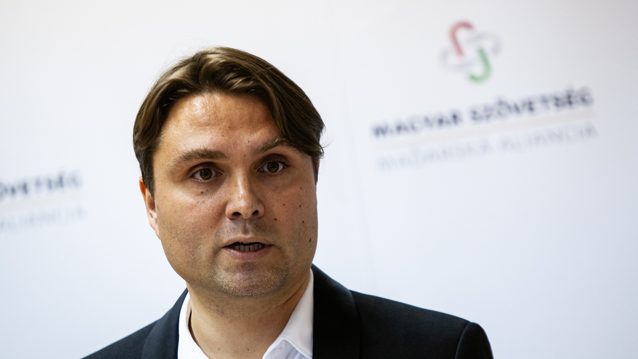 Predseda strany Maďarská aliancia László Gubík