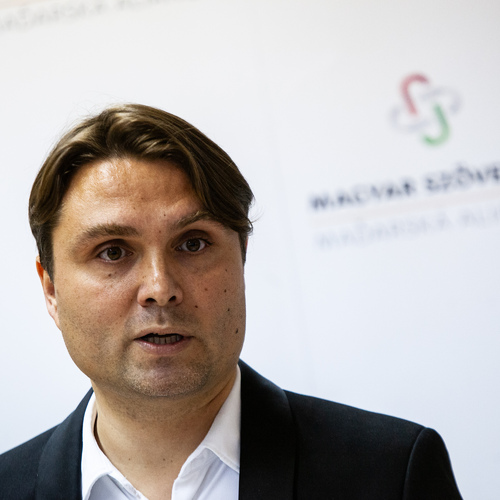 Predseda strany Maďarská aliancia László Gubík