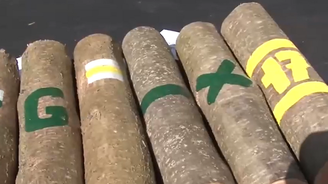 lesnícke dni, drevo