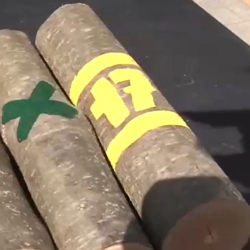 lesnícke dni, drevo