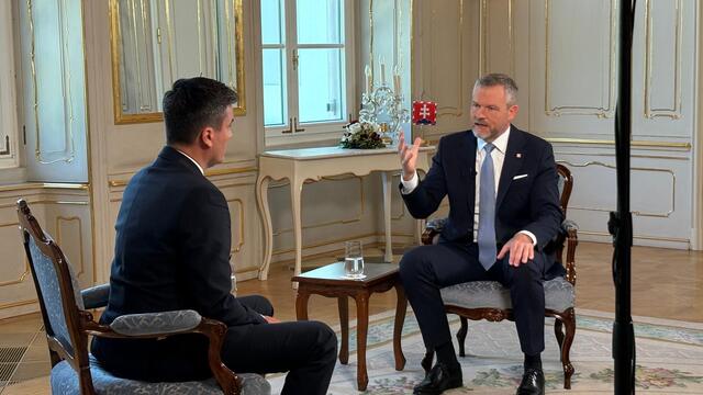 V politike Pellegirni