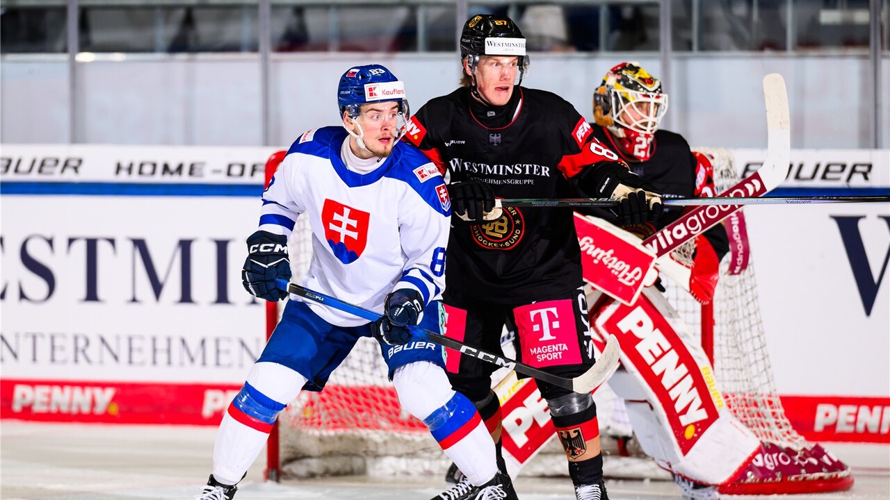 slovenskí hokejisti