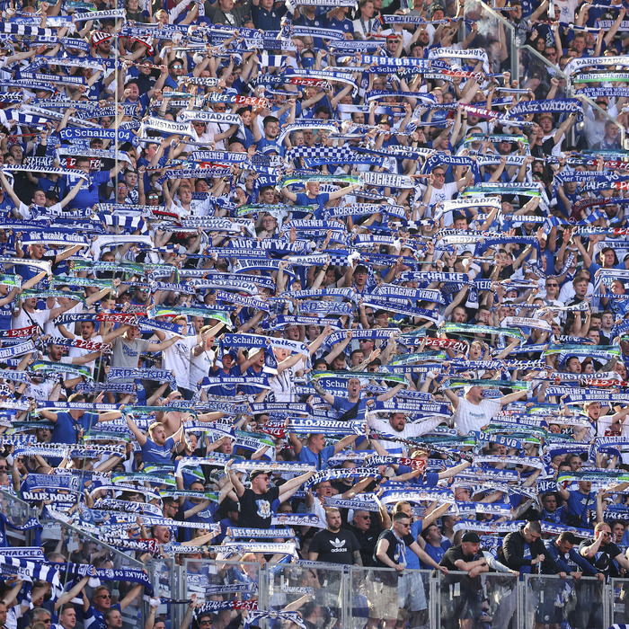 schalke, ventils arena