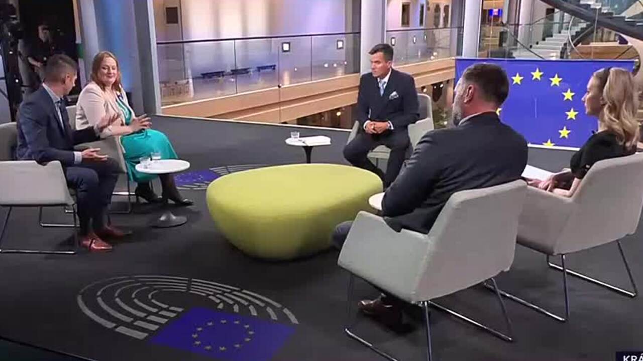 kral europarlament