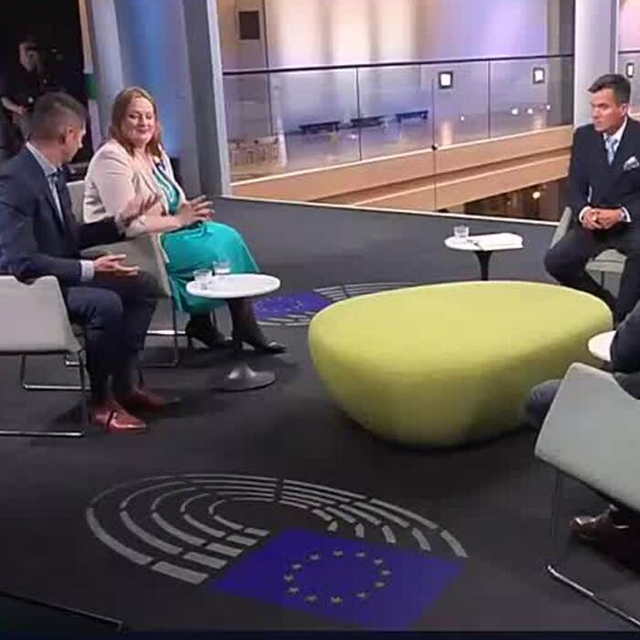 kral europarlament