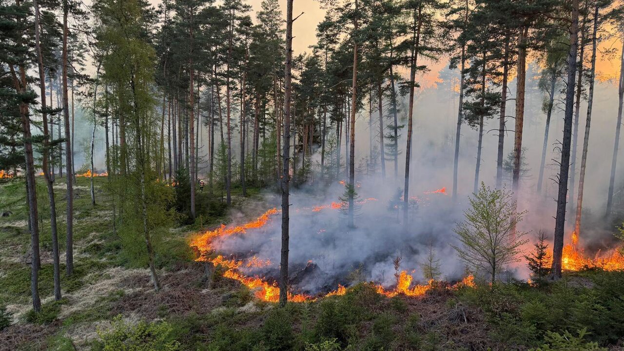 Požiar v Českom Švajčiarsku: V noci sa podarilo zabrániť ďalšiemu šíreniu. Povolali 500 hasičov aj vrtuľníky
