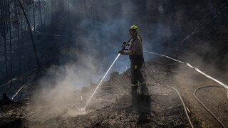 Požiar v Českom Švajčiarsku hasiči zredukovali na minimum. Letecké hasenie sa skončilo, vrtuľníky poslali domov