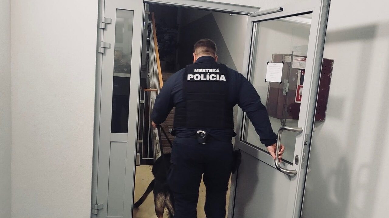 mestská polícia psovod polícia