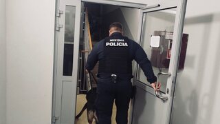 mestská polícia psovod polícia