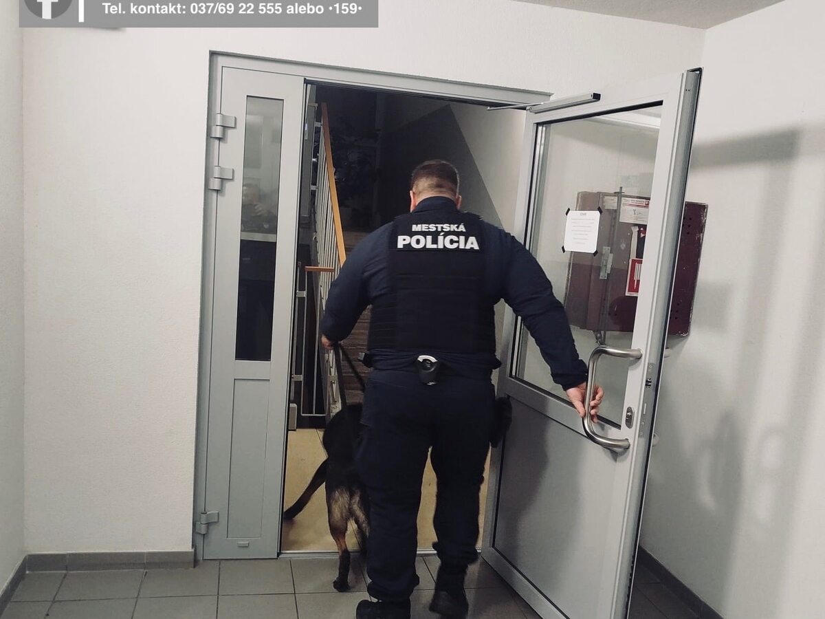 mestská polícia psovod polícia