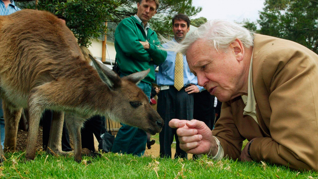 attenborough.jpg