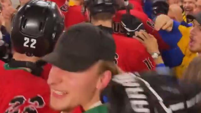 ukrajina litva oslavy.png