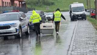 Akcia, aká nemá obdoby. Veterinári zasahujú v osade Svinia, odchytávajú túlavých psov