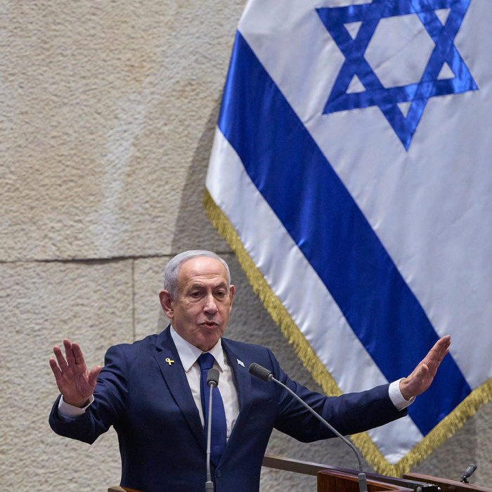 Bibi