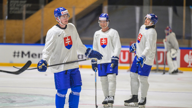 hokejisti Slovenska