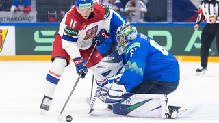 slovinsko horak