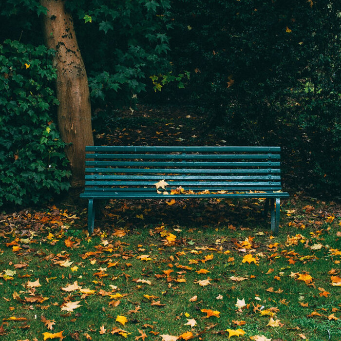 samota lavička park smútok jeseň