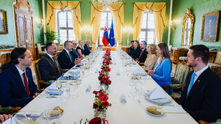 pracovný obed s europoslancami.jpg