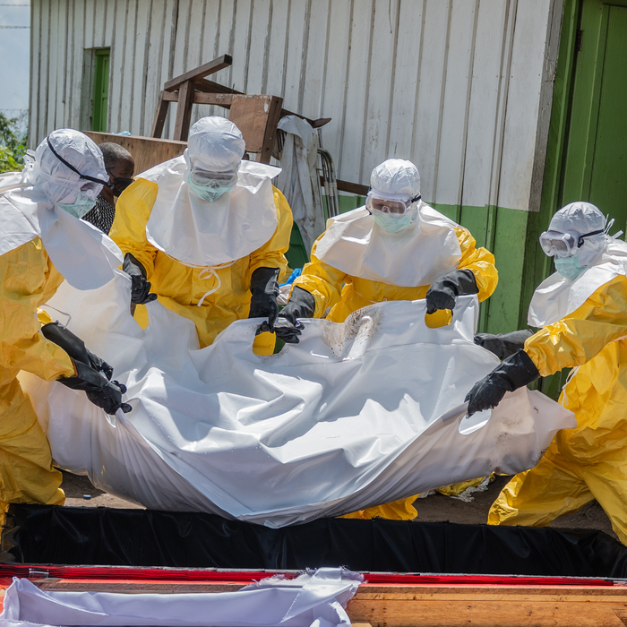 ebola