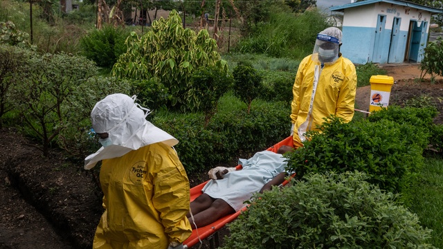 Ebola, Kongo