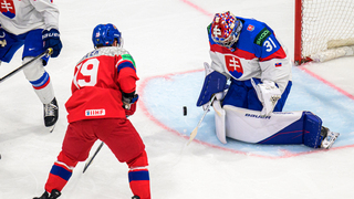 Slovensko Česko hokej MS 