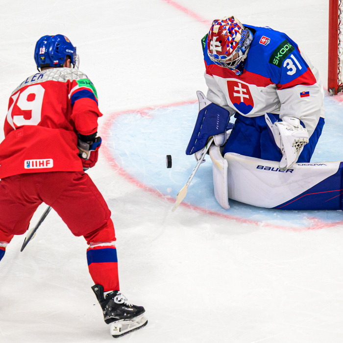 Slovensko Česko hokej MS 