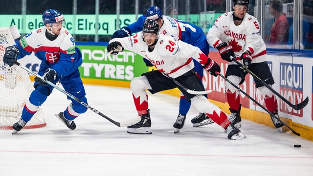 Switzerland_World_Championship_Ice_Hockey_82593.jpg