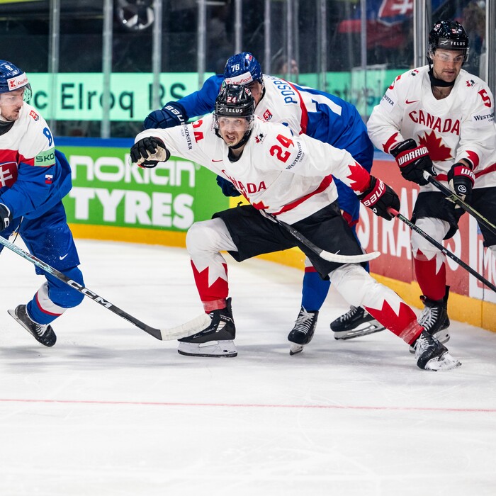 Switzerland_World_Championship_Ice_Hockey_82593.jpg