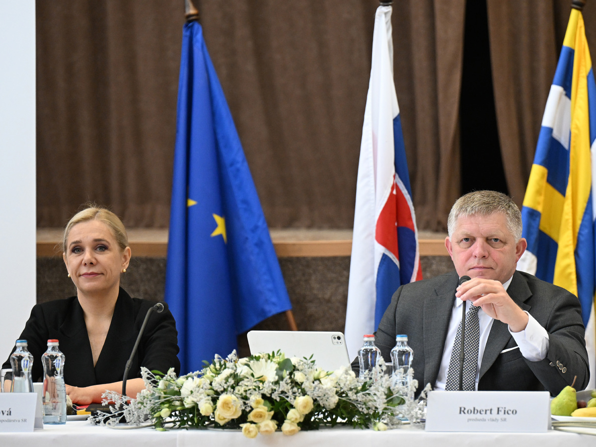 fico saková.jpg