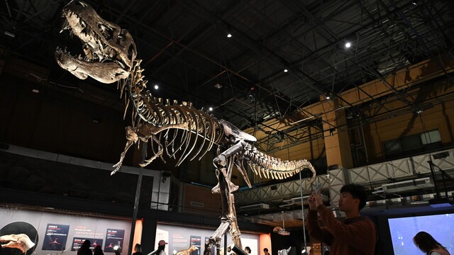 T-Rex