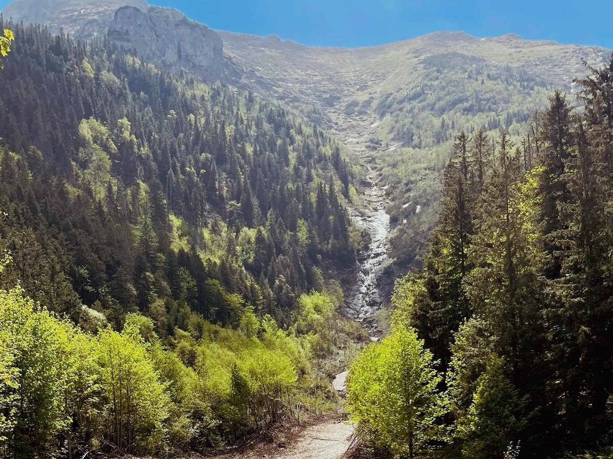 TANAP Ždiar – Široké sedlo (Monkova dolina) 