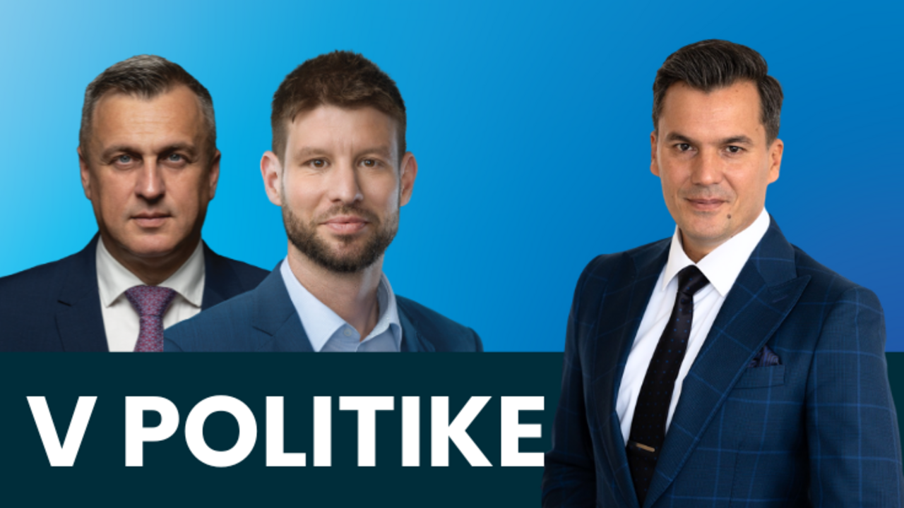 V politike Danko Šimečka