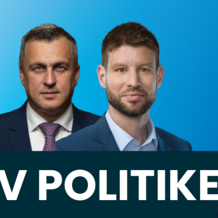 V politike Danko Šimečka