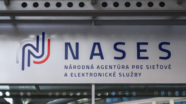 nases.jpg