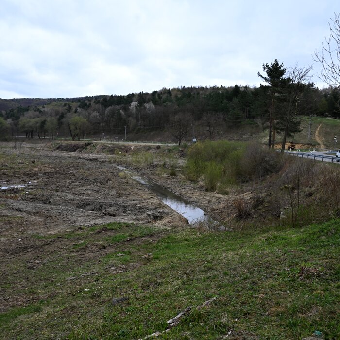 Domaša čistenie