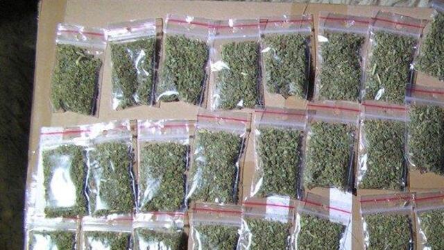 herba droga