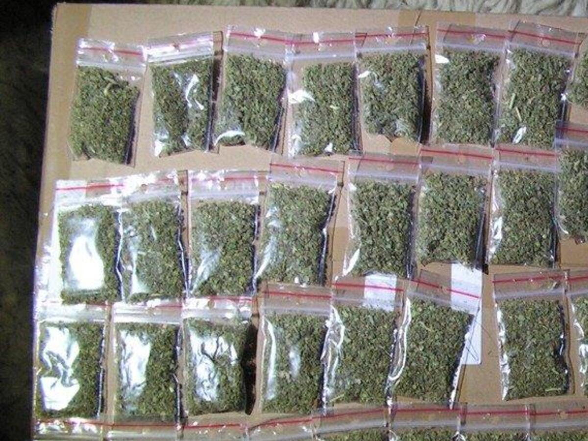 herba droga