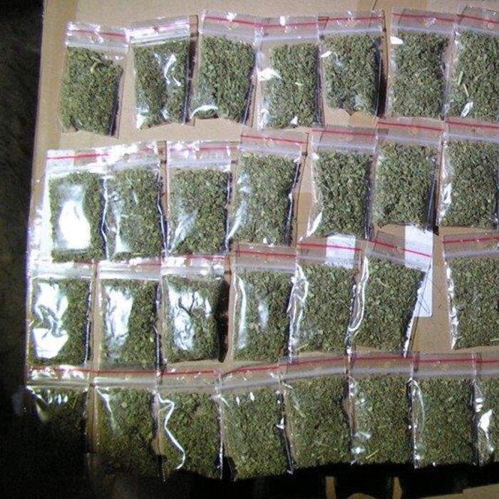 herba droga