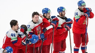 Switzerland_World_Championship_Ice_Hockey_15973.jpg