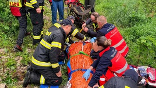 Zásahový tím pátra po medveďovi, ktorý na Liptove napadol lesného pracovníka. Šelmu v lokalite zatiaľ nespozorovali