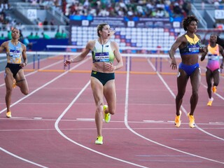 Zapletalová