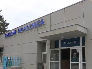 pinelka