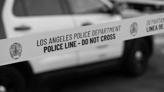 lapd.jpg