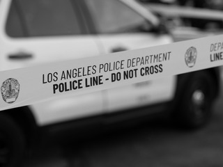 lapd.jpg