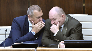 Huliak Danko v NR SR