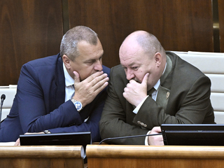 Huliak Danko v NR SR