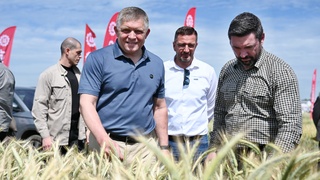 Fico Takáč dni poľa