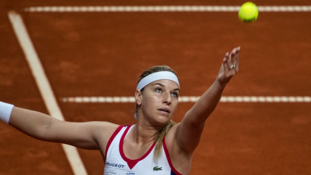 Dominika Cibulková